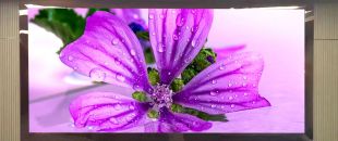 連鎖火鍋店老板哭訴：門頭LED廣告機(jī)讓我多賺了110萬，但千萬別學(xué)我踩這3個(gè)坑！”