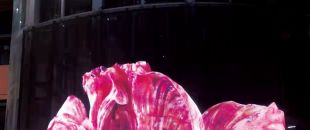 led屏為什么會流行起來？都有什么特點？