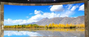 小間距l(xiāng)ed顯示屏未來的發(fā)展前景怎么樣？