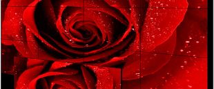  小間距LED屏的像素這么密，是怎么做到不出現(xiàn)顏色偏差的呀？